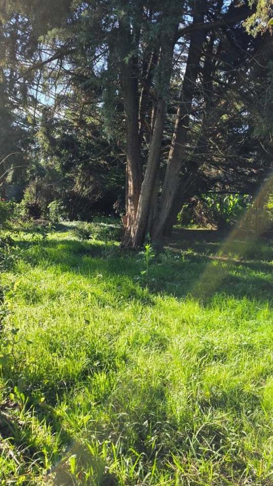 Lote En Venta Con Financiacion Barrio Pinares Del Pato - El Pato, Berazategui