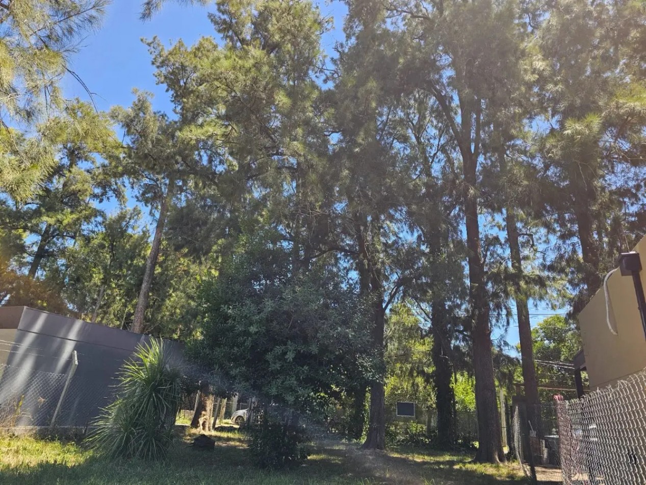 Lote 666m2, Escritura Inmediata, Con Financiacion, En El Pato, Berazategui