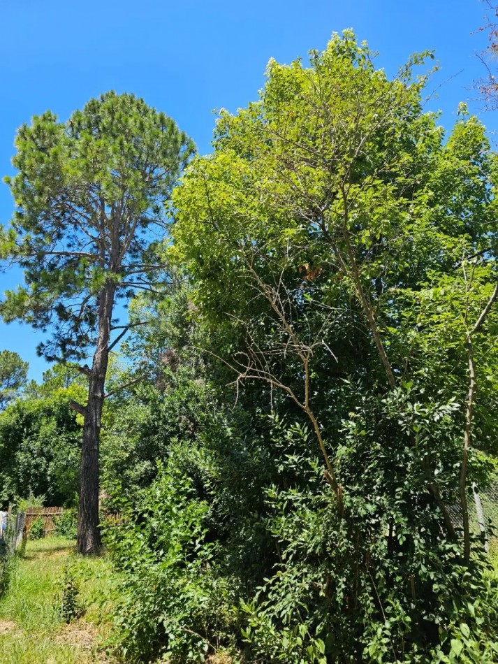 Lote 666m2, Escritura Inmediata, Con Financiacion, En El Pato, Berazategui