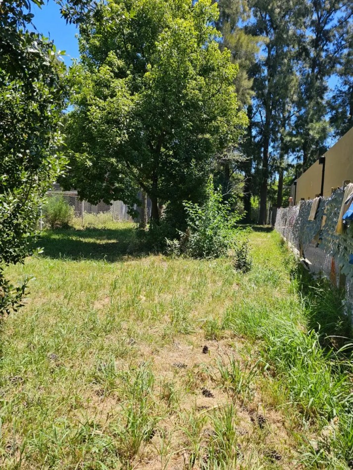 Lote 666m2, Escritura Inmediata, Con Financiacion, En El Pato, Berazategui