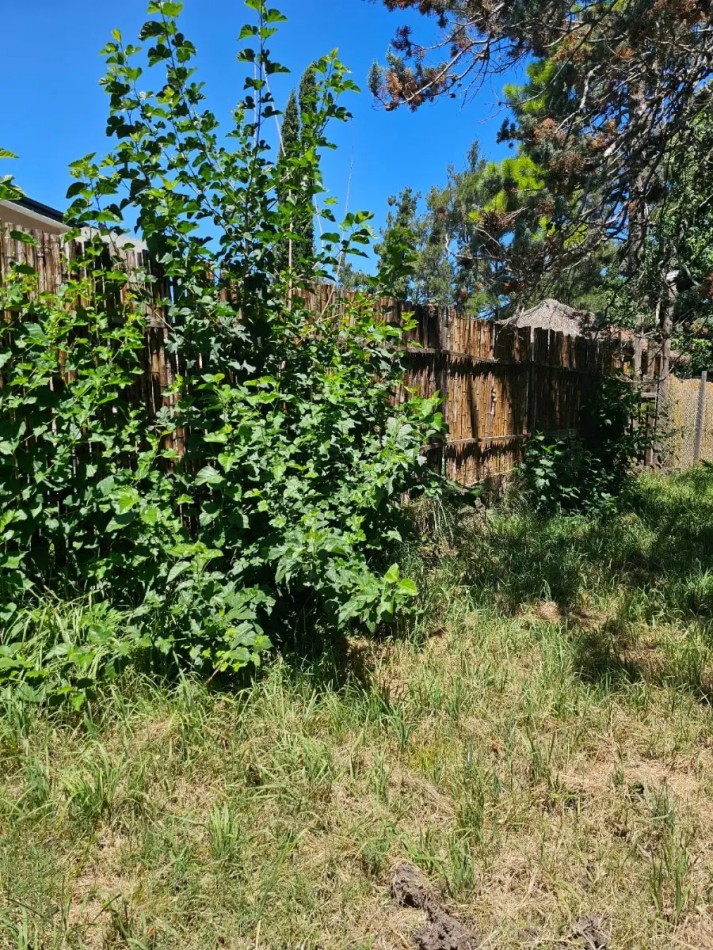 Lote 666m2, Escritura Inmediata, Con Financiacion, En El Pato, Berazategui