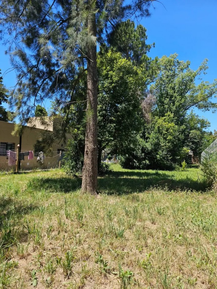 Lote 666m2, Escritura Inmediata, Con Financiacion, En El Pato, Berazategui