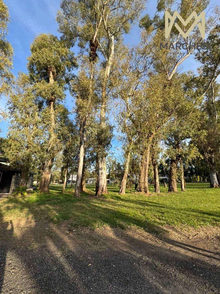 Terreno En El Pato Financiado En Barrio Cerrado La Arbolada, Berazategu