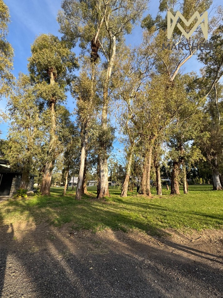 Terreno 800m2 El Pato, Barrio La Arbolada, Lote Interno