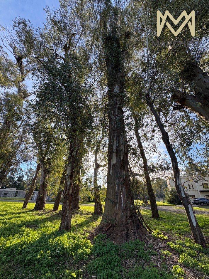 Terreno 800m2 El Pato, Barrio La Arbolada, Lote Interno