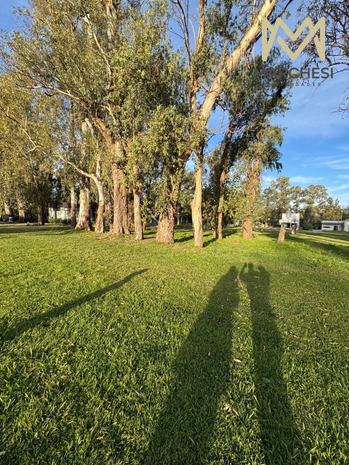 Terreno 800m2 El Pato, Barrio La Arbolada, Lote Interno
