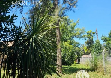 Lote 666m2, Escritura Inmediata, Con Financiacion, En El Pato, Berazategui